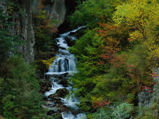 40927 (a): :1600x1200